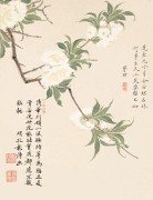 辽宁博物馆 藏画_120-项圣谟-花卉十开-5