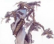 近现代书画 2000 幅_佚名 古树图册huaniaohua3_177