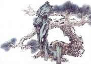 近现代书画 2000 幅_佚名 古树图册huaniaohua3_178