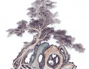 近现代书画 2000 幅_佚名 古树图册huaniaohua3_181