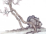 近现代书画 2000 幅_佚名 古树图册huaniaohua3_187