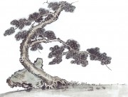 近现代书画 2000 幅_佚名 古树图册huaniaohua3_189