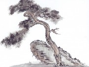 近现代书画 2000 幅_佚名 古树图册huaniaohua3_192