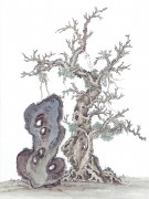 近现代书画 2000 幅_佚名 古树图册huaniaohua3_200