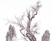 近现代书画 2000 幅_佚名 古树图册huaniaohua3_201