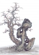 近现代书画 2000 幅_佚名 古树图册huaniaohua3_203