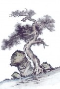 近现代书画 2000 幅_佚名 古树图册huaniaohua3_208