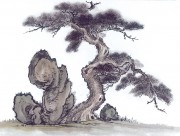 近现代书画 2000 幅_佚名 古树图册huaniaohua3_209