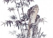 近现代书画 2000 幅_佚名 古树图册huaniaohua3_214