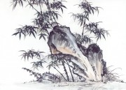 近现代书画 2000 幅_佚名 古树图册huaniaohua3_219