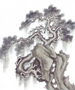 近现代书画 2000 幅_佚名 古树图册huaniaohua3_235