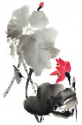 花卉图册_佚名 花卉图册J173-69-国画百花争艳301