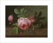中国油画_佚名 油画 玫瑰和巢-24x32