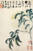 中国历代名画-清代_清 石涛 花卉册十二开1