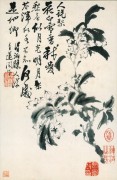 中国历代名画-清代_清 石涛 花卉册十二开7