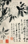 中国历代名画-清代_清 石涛 花卉册十二开11