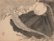 中国历代名画-清代_清 张雪鸿 花卉图册23-30cm-1 