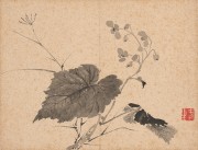 中国历代名画-清代_清 张雪鸿 花卉图册23-30cm-2 