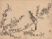中国历代名画-清代_清 张雪鸿 花卉图册23-30cm-4 