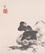 中国历代名画-清代_清 朱耷（八大山人） 花鸟山水册5 